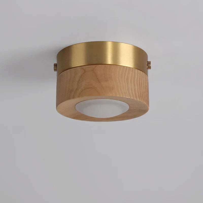LumiWood | Minimalist LED Ceiling Light