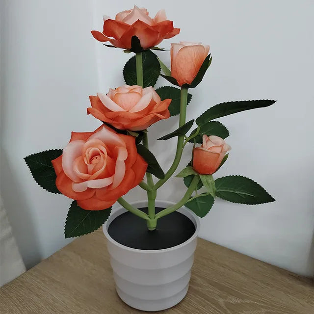 PetalHue | Radiant Flower Display