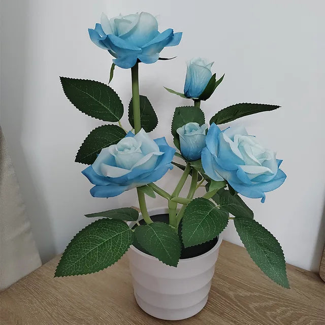 PetalHue | Radiant Flower Display