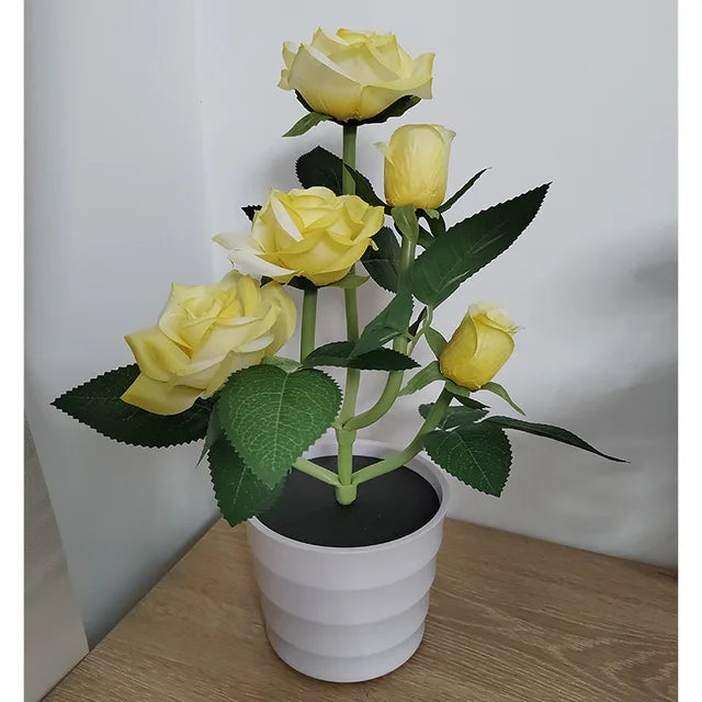 PetalHue | Radiant Flower Display