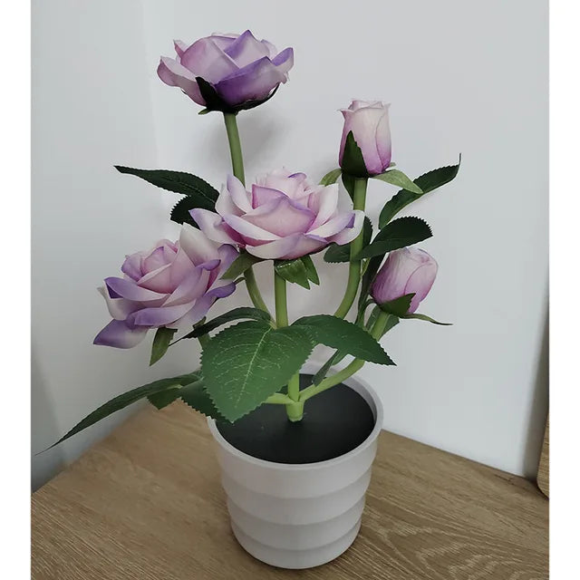 PetalHue | Radiant Flower Display